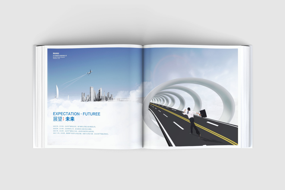 文水县画册设计